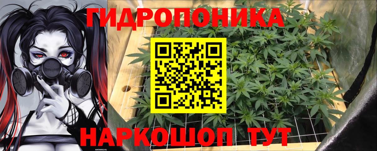 Шишки марихуана Amnesia Юрга